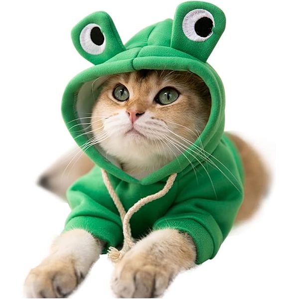 Sjove hættetrøjer til katte og hvalpe - sødt frø-cosplaytøj til kæledyr
