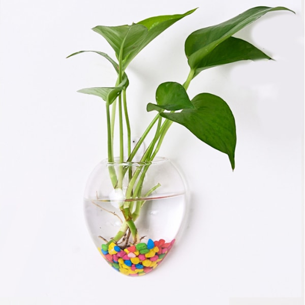 Väggmonterad glasvas - Vattenplanteringsvaser Luftblomvasplan