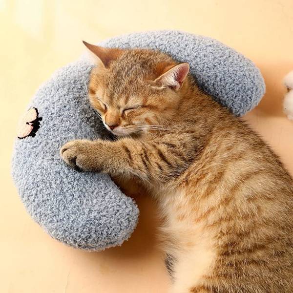 Kattkudde Donutkudde Katt Lugnande Kudde Kattunge Nackkudde U-form