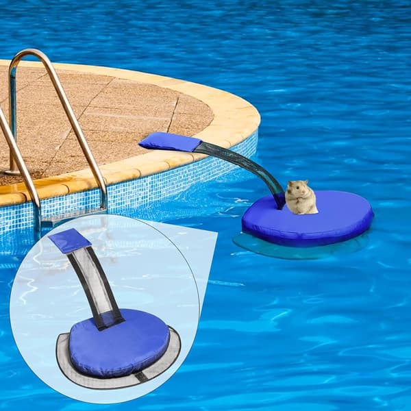 Pack Kæledyrsflugt Rampe til Pool Flydende Rampe Pool Tilbehør Flydende Rampe