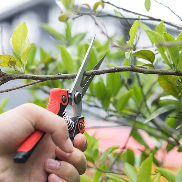 Raka Beskärningssaxar, Floristsaxar, Multifunktionella Trädgårdssaxar för Arrangering av Blommor, Beskärning av Växter och Skörd av Örter, Frukter eller Grönsaker
