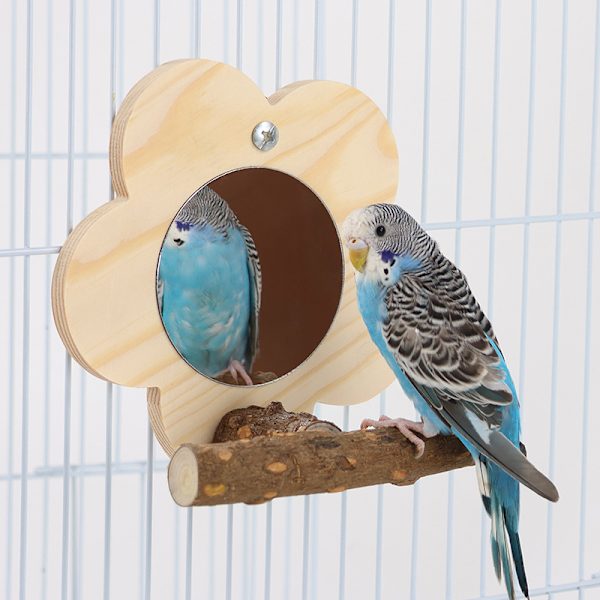 Fågel spegel med träpinne, fågelbur rolig plattform stativ leksaker
