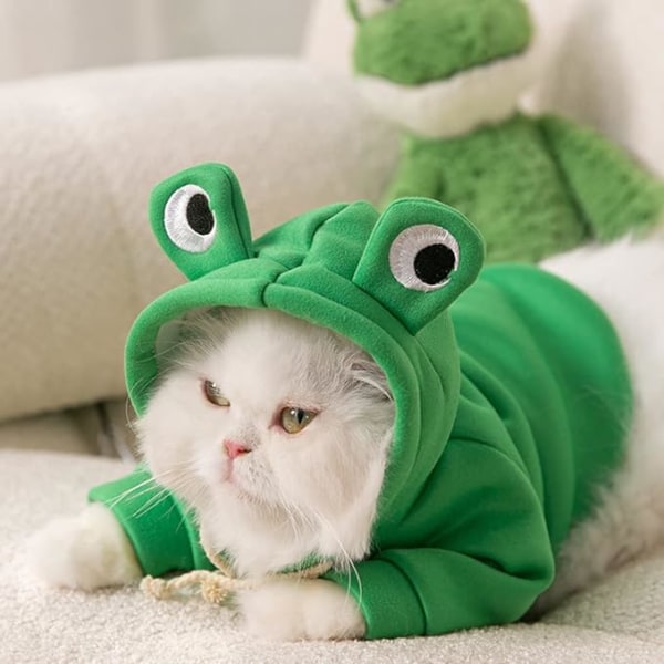 Sjove hættetrøjer til katte og hvalpe - sødt frø-cosplaytøj til kæledyr