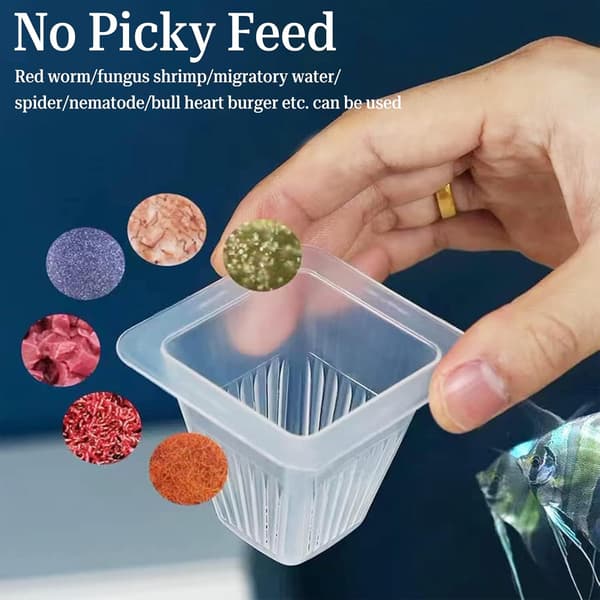 1 Aquarium Flydende Ring Kegle Foderdispenser Akvarium Fiskefoderdispenser Akvarietilbehør til Guldfisk, Cichlider, Guppyer