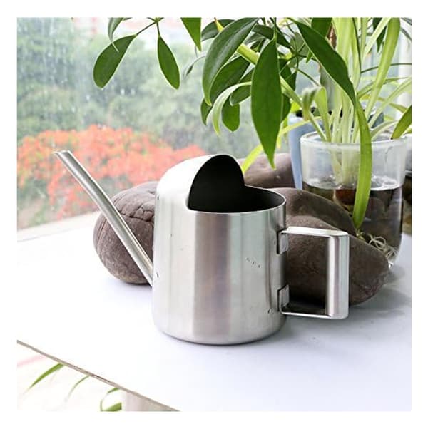 Mini vandkande i rustfrit stål til have og kontorplanter, sølv, 19,5*9,5 cm