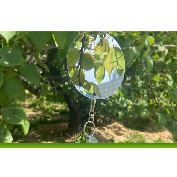 Avvisende disker - Anti Pigeon Bird Scarer [Anti-Scarecrow Birds] - for å holde