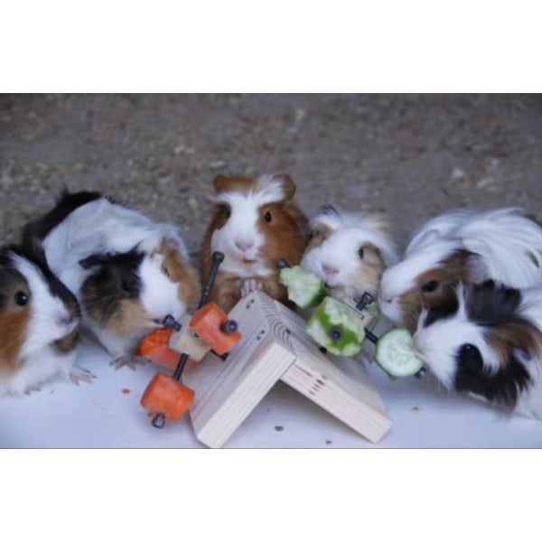Hamstertrappa Hamstermatningsplattform Fodersök Leksak Godis Pussel