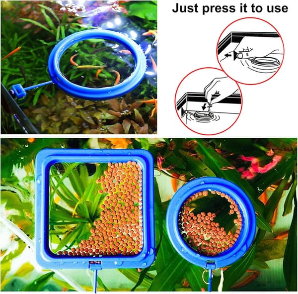 Fiskefoderring, 2 stk. Akvariefisk Skildpadde Tank Tilbehør Fodercirkel til Guppy Bettas Guldfisk Skildpadde (Blå)