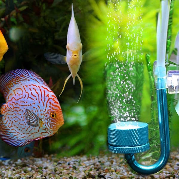 Akvarium Atomizer Diffuser System, Akvarium CO2 Diffuser Karbondioksidreaktor Akvatiske Vannplanter for Akvarium Fisketank Akvatisk Plantevann (Blå