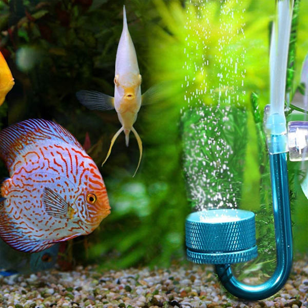Akvarium Atomizer Diffuser System, Akvarium CO2 Diffuser Koldioxidreaktor Vattenväxter för Akvarium Fisk Tank Vattenväxt Vatten (Blå