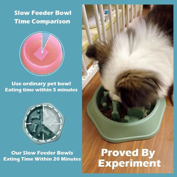 Slow Feeder Dog Bowl Anti Gulping Healthy Eating Interactive Bloat Sto