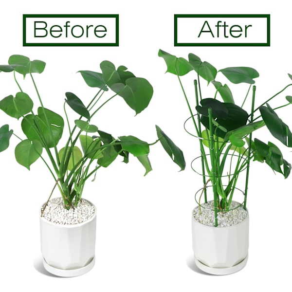 2-pack Växtstöd Bur Rostbeständigt Trädgårdsringstöd Växtstöd för Tomat, Spaljé, Klätterväxt, Blomma, 45 cm H