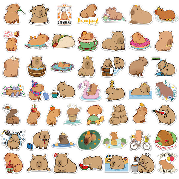 50 st capybara klistermärken vattentät PVC tecknad djur klistermärke set,