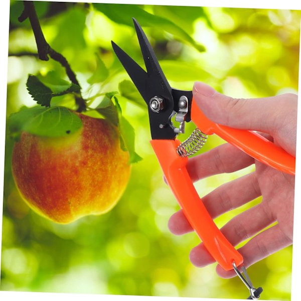 Geitehovklipper Karbonstål Trimming Saks for Sau, Geit og Grisehover Rustsikker Dobbel Blad Negleklipper (Rett Hode)