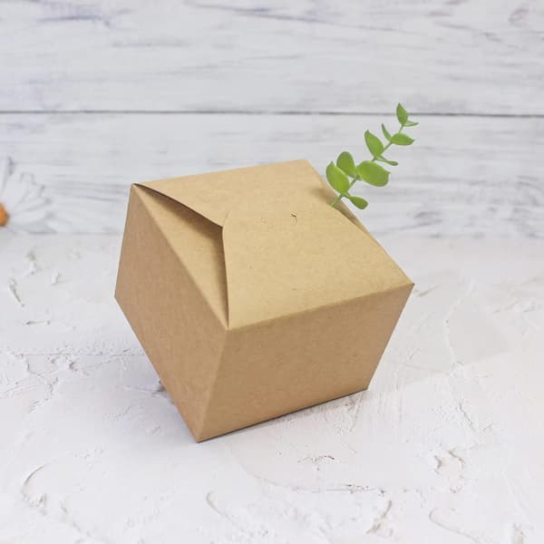 Brun Presentask kompatibel med presenter, 10-pack små tomma presentaskar i kraftpapper med