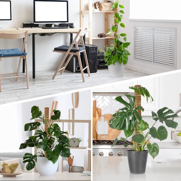 2 st 42 cm Kokosfiberpinne för Klättrande Inomhusväxter Träning Växa Uppåt med Jutesnöre Moss Pinne