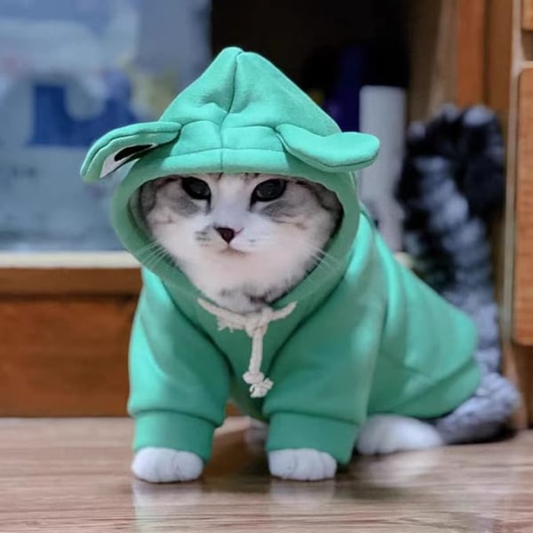 Sjove hættetrøjer til katte og hvalpe - sødt frø-cosplaytøj til kæledyr