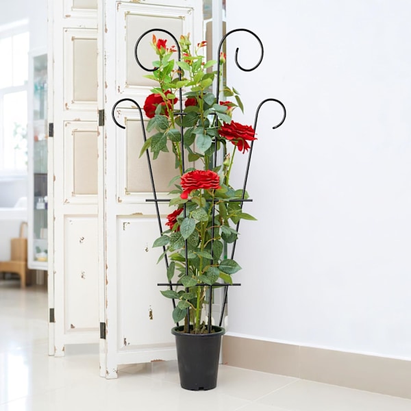 4-pack inomhusväxtstöd för krukväxter klättring, utomhus metall trädgårdsstöd krukväxter blommor vin murgröna, svart