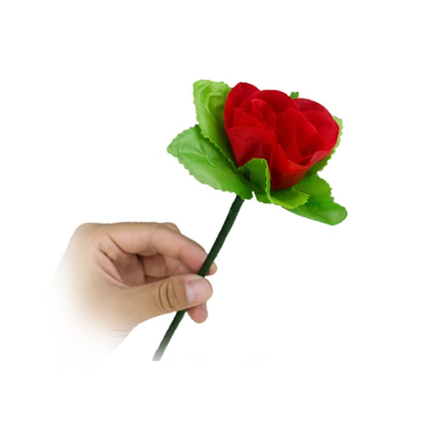 Vikande rosor på alla hjärtans dag Magic trick Trollkarl Närbild Rekvisita Jippon busverktyg
