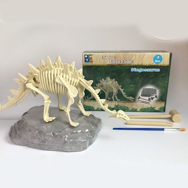 Stegosaurus Utgrävning Gräv Vetenskapssatser Barn Arkeologi Biologi Festleksaker