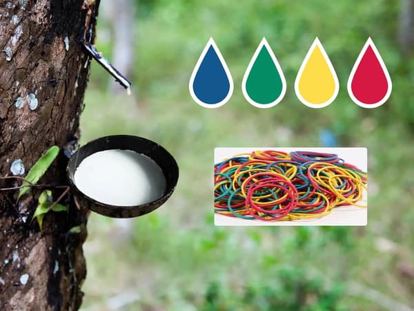 600-pak naturlige elastikker assorterede 2,5 3,8 5 cm til hjem, skole og kontor