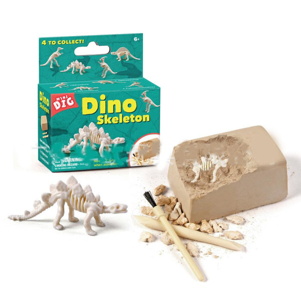 Dino Skeleton Arkeologi Biologi Grävning och utgrävning Vetenskapssatser Vit
