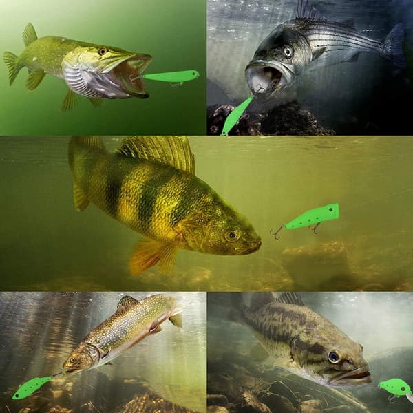 Selvlysende fiskesluker, 5 stk. lysende harde agn med kroker og slukboks