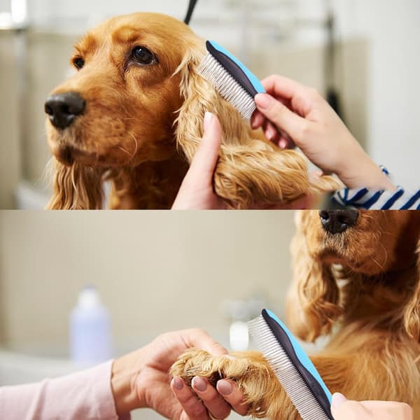 Kæledyrsplejekam Rustfri Stål Tænder Hund Kat Hårfiltrende Børste Blå