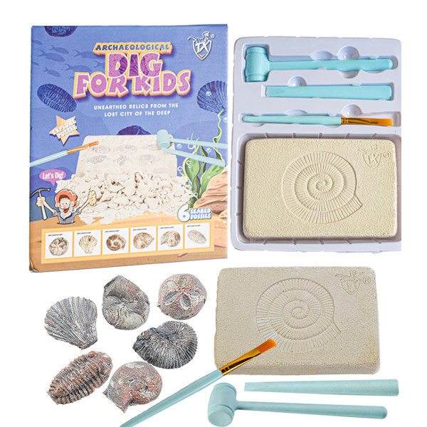 Conch Shell Dig Fossil Dig Arkeologisk utgrävning Kit, Educational Science  Kit Lärleksaker för barn ea9e | Fyndiq
