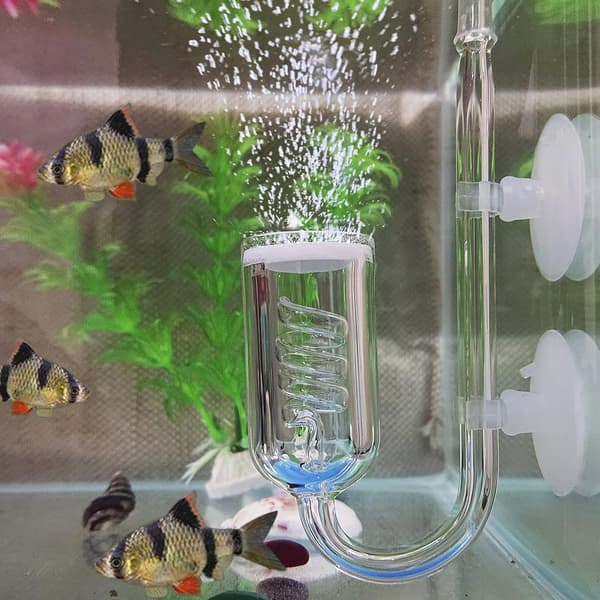 Glasspiral CO2-diffusor, bubbelräknare med sugproppar för akvarier