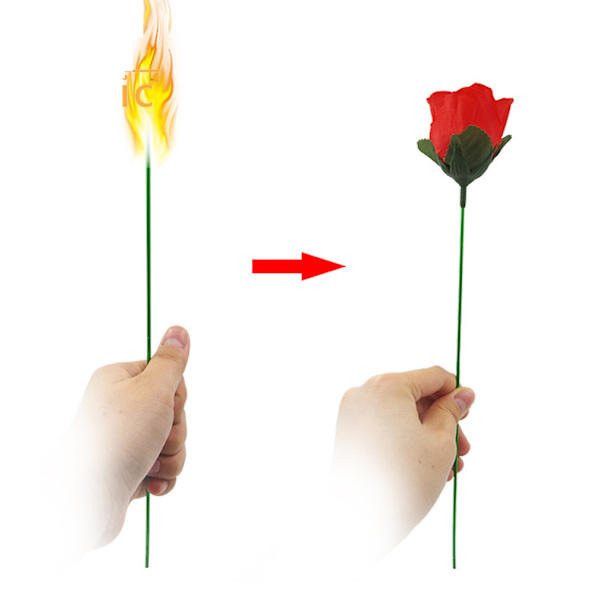 6 st facklor förvandlade till rosor Magic trick Trollkarl Närbild Rekvisita Jippon busverktyg