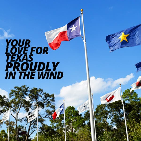 Texas delstatsflagg 3x5 fot polyesterbanner med messingmaljer for utendørs bruk