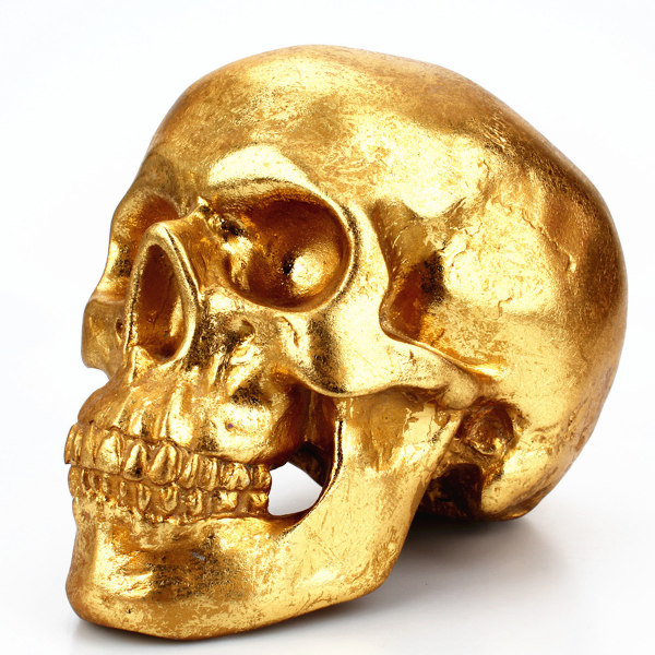 Skull Coin Bank Parvenu Gold Bones Resin Craft Spargris Pengaburk för pojkar Flickor Spara pengar Kontanter