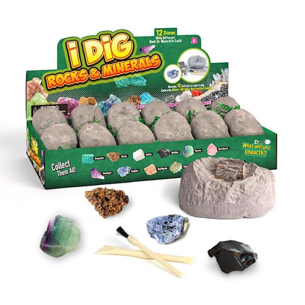 12st Mine Gem Science Kits Utbildning Arkeologi Biologi Födelsedagspresent