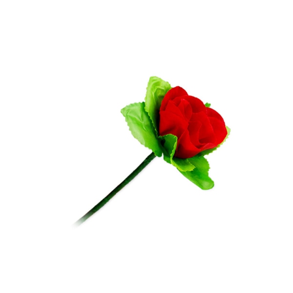 Vikande rosor på alla hjärtans dag Magic trick Trollkarl Närbild Rekvisita Jippon busverktyg