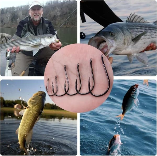 500 st. ringade karpfiskekrokar, 10 olika storlekar i set med ask
