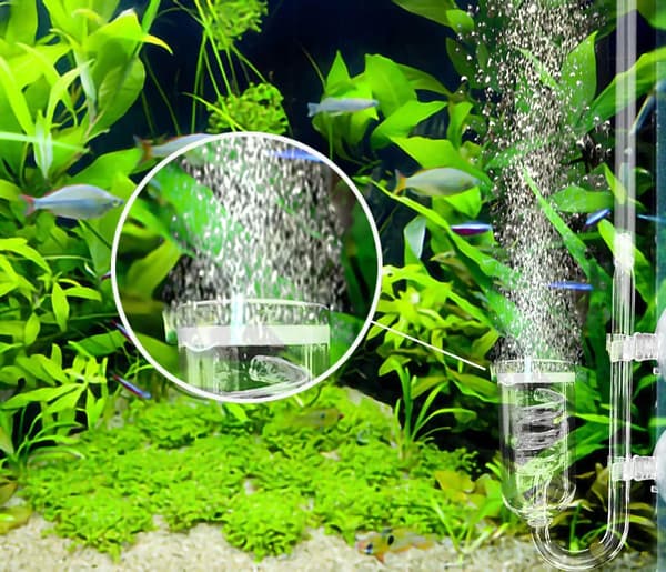Glasspiral CO2-diffusor, bubbelräknare med sugproppar för akvarier