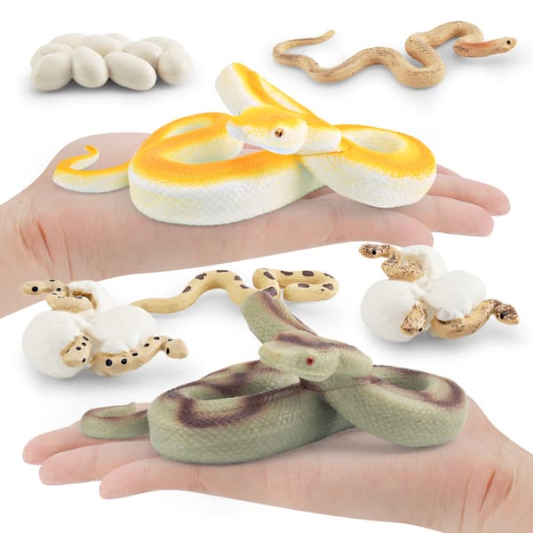 8 st Orm Livscykel Figurer, Realistiska Python Tillväxtstadier Figurer med Ägg, Kläckningar och Vuxen Burmesisk Python Modell, Pedagogiska Djurleksaker