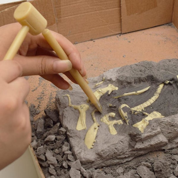 DIY Dinosaur Ram Arkeologi Biologi Simuleringsleksaker Vetenskapssatser temaparkdekoration
