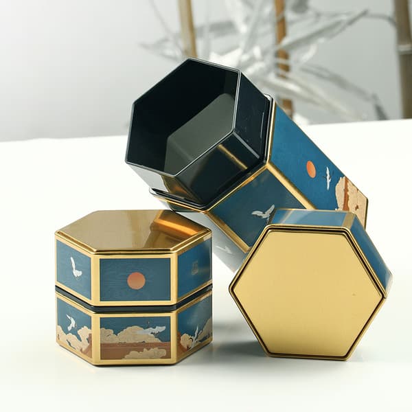 Hexagonal plåt förvaringslåda Lufttät behållare case för StyleE S StyleE S