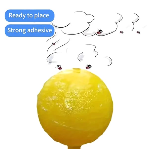 Fruktflugbollar Flugbollsfälla Klibbig Insektsboll Citrus Geting B onesize