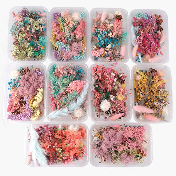 Tørkede blomster Naturlig blomsterkunst Craft Scrapbooking Resin Jewel Multicolor 5Pcs