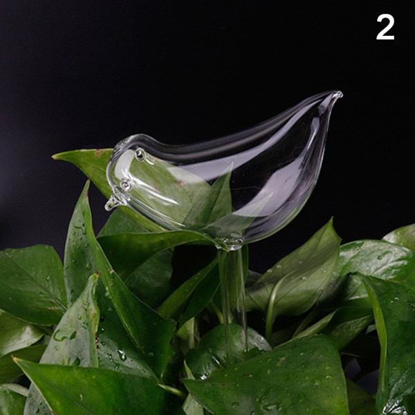 11 Typer Glas Blommor Vattenmatare Automatisk självbevattning De Transparent 2