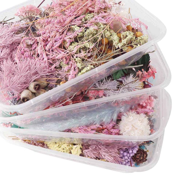 Tørkede blomster Naturlig blomsterkunst Craft Scrapbooking Resin Jewel Multicolor 1Pc