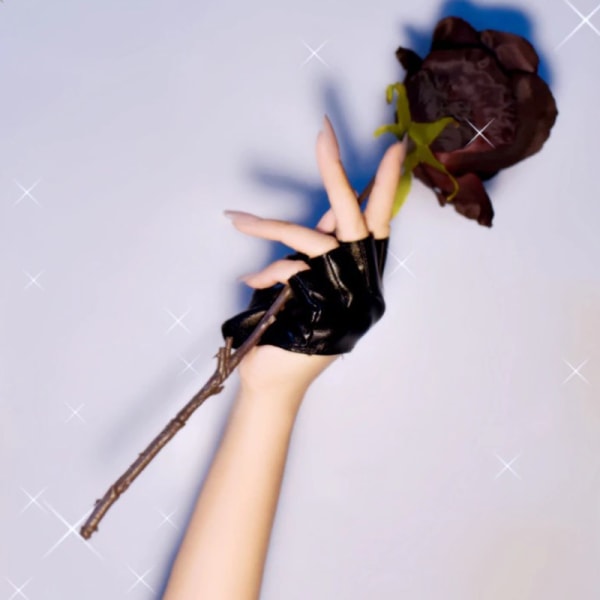Pu Lær fingerløs hanske For Goth Punk Rock Lolita Harajuku Rose red One Size