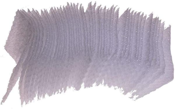 100 st Klara bubbelpåsar Påsar Skyddsbubbelpåse Dubbel Bronze 100Pcs