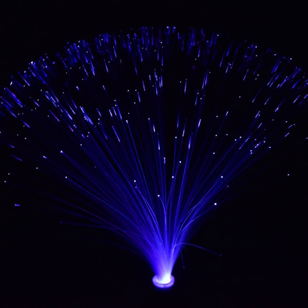 2st Flerfärgad LED Fiberoptisk Ljus Nattlampa Jul Bröllop Multicolor 2Pcs
