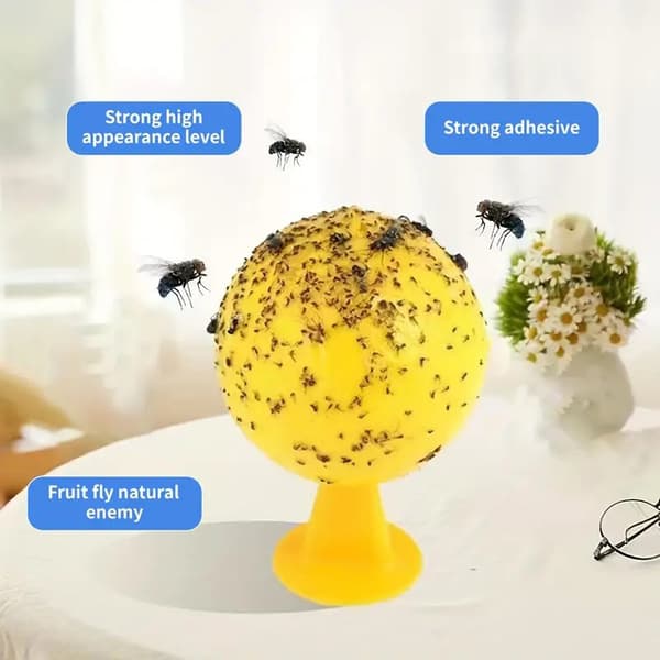 Fruktflugbollar Flugbollsfälla Klibbig Insektsboll Citrus Geting B onesize