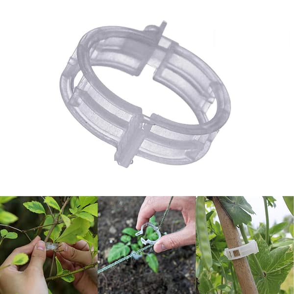 100 st Plastklämmor för Klätterväxter, Transparenta Fästklämmor för Tomater A