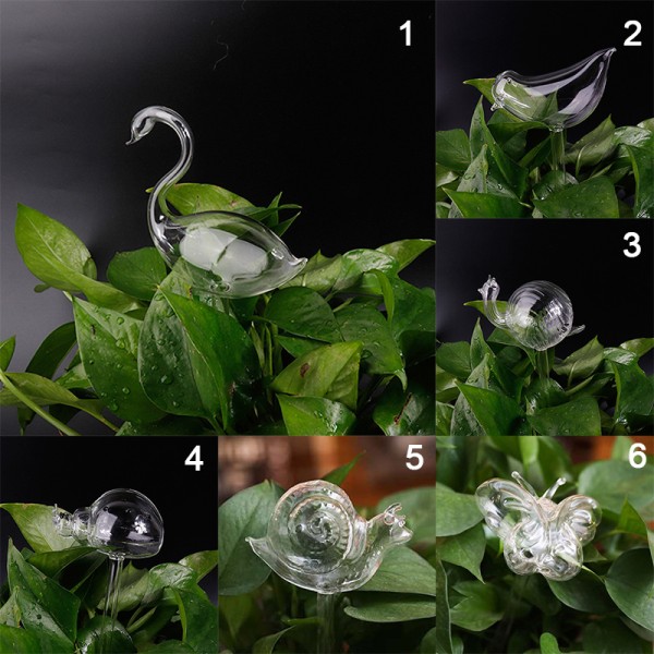 11 Typer Glas Blommor Vattenmatare Automatisk självbevattning De Transparent 2